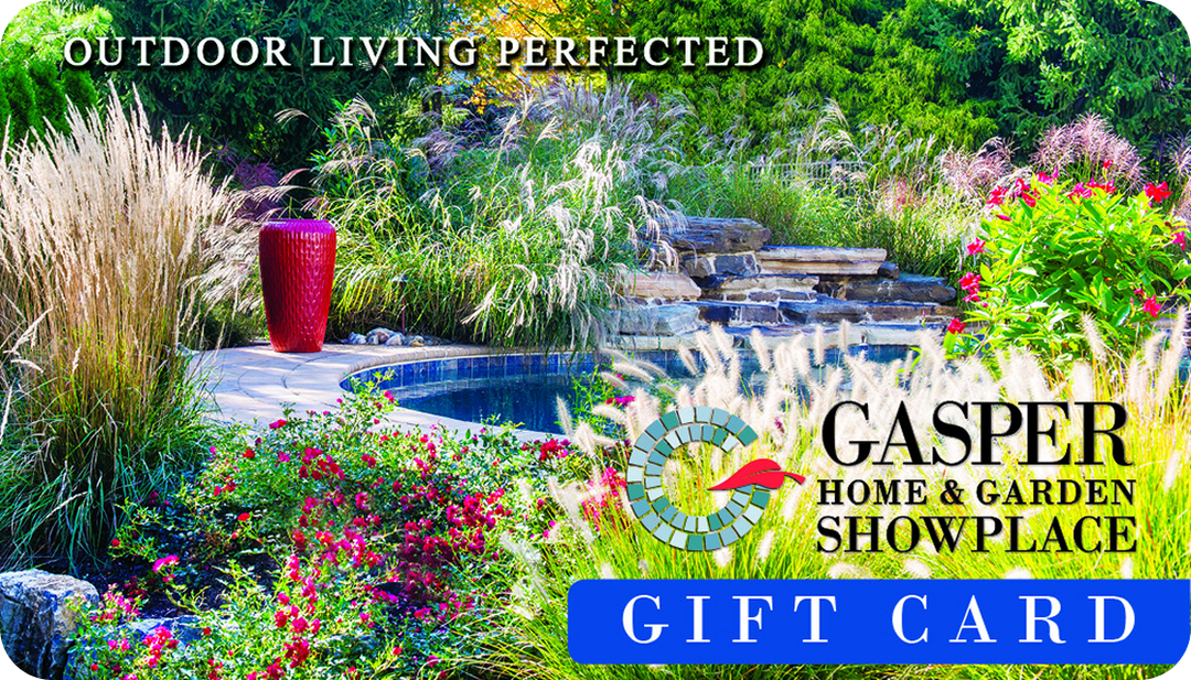 In Store Only Gift Card