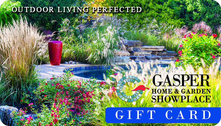 In Store Only Gift Card