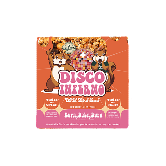 Mr. Bird Birdseed Cake Disco Inferno