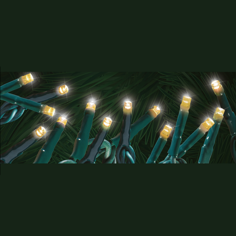 Steady "Starry-Pro Lights" 100L LED String Set Warm White Green
