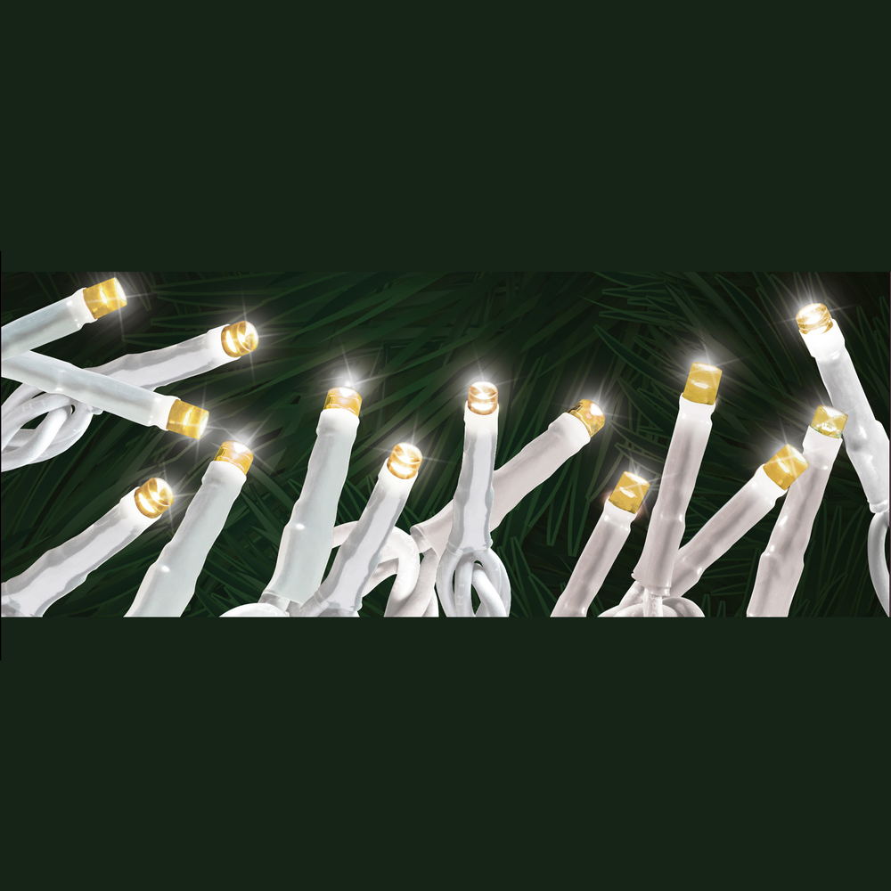 Steady "Starry-Pro Lights" 100L LED String Set Warm White White