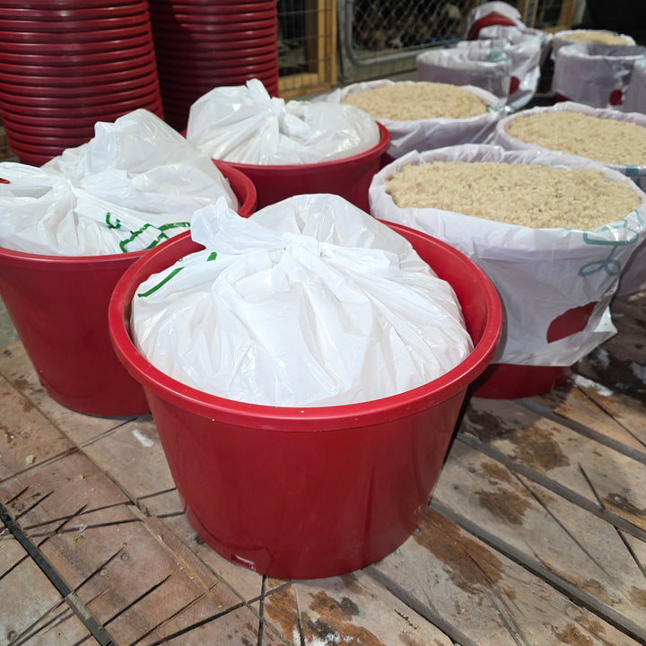 Rock Salt 3-Gallon