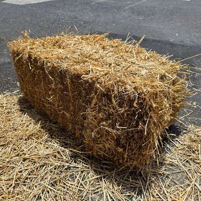 Straw Bale Large