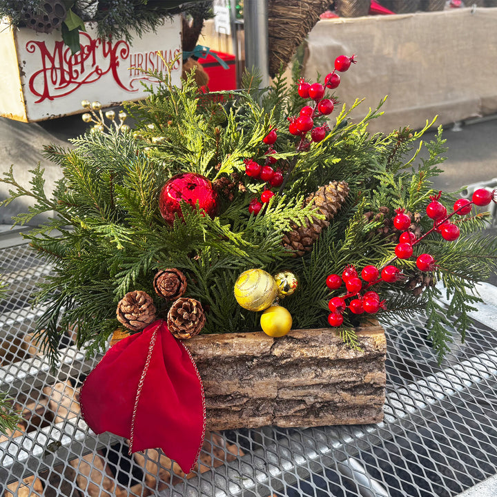 Fresh Evergreen Cedar Log Planters