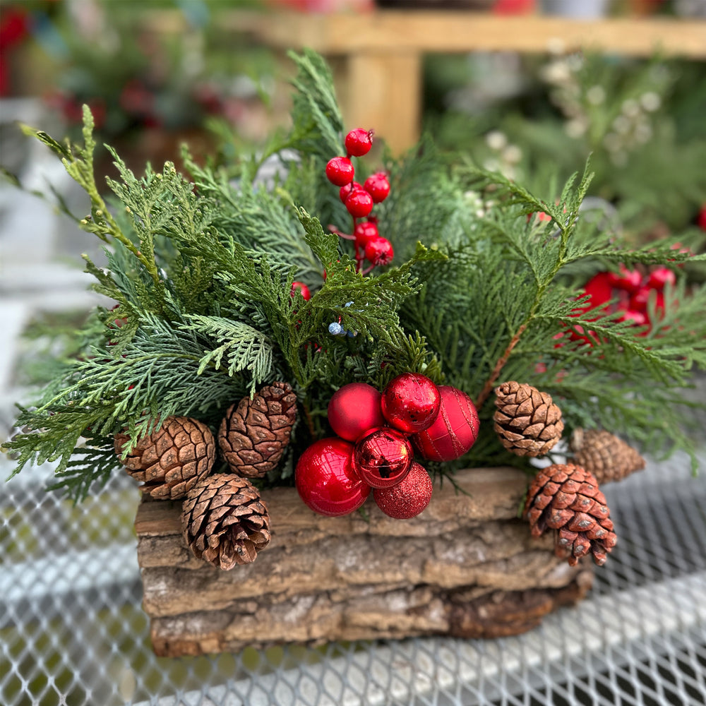 Fresh Evergreen Cedar Log Planters