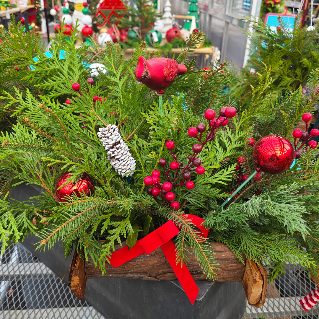 Fresh Evergreen Cedar Log Planters