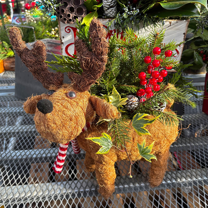 Fresh Evergreen Holiday Centerpieces