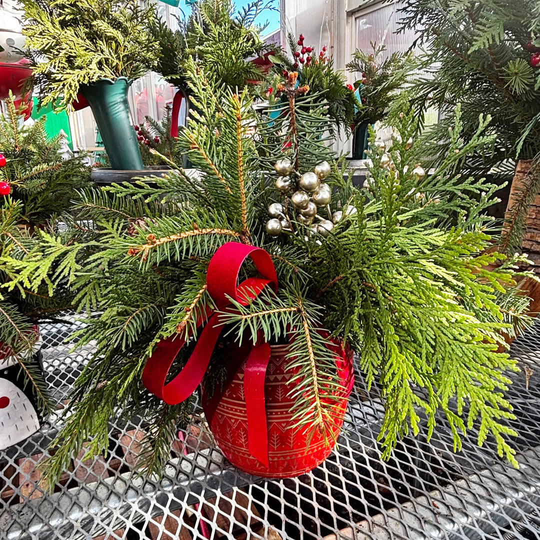 Fresh Evergreen Holiday Centerpieces