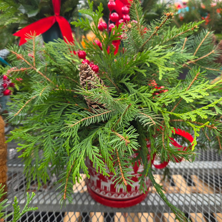 Fresh Evergreen Holiday Centerpieces