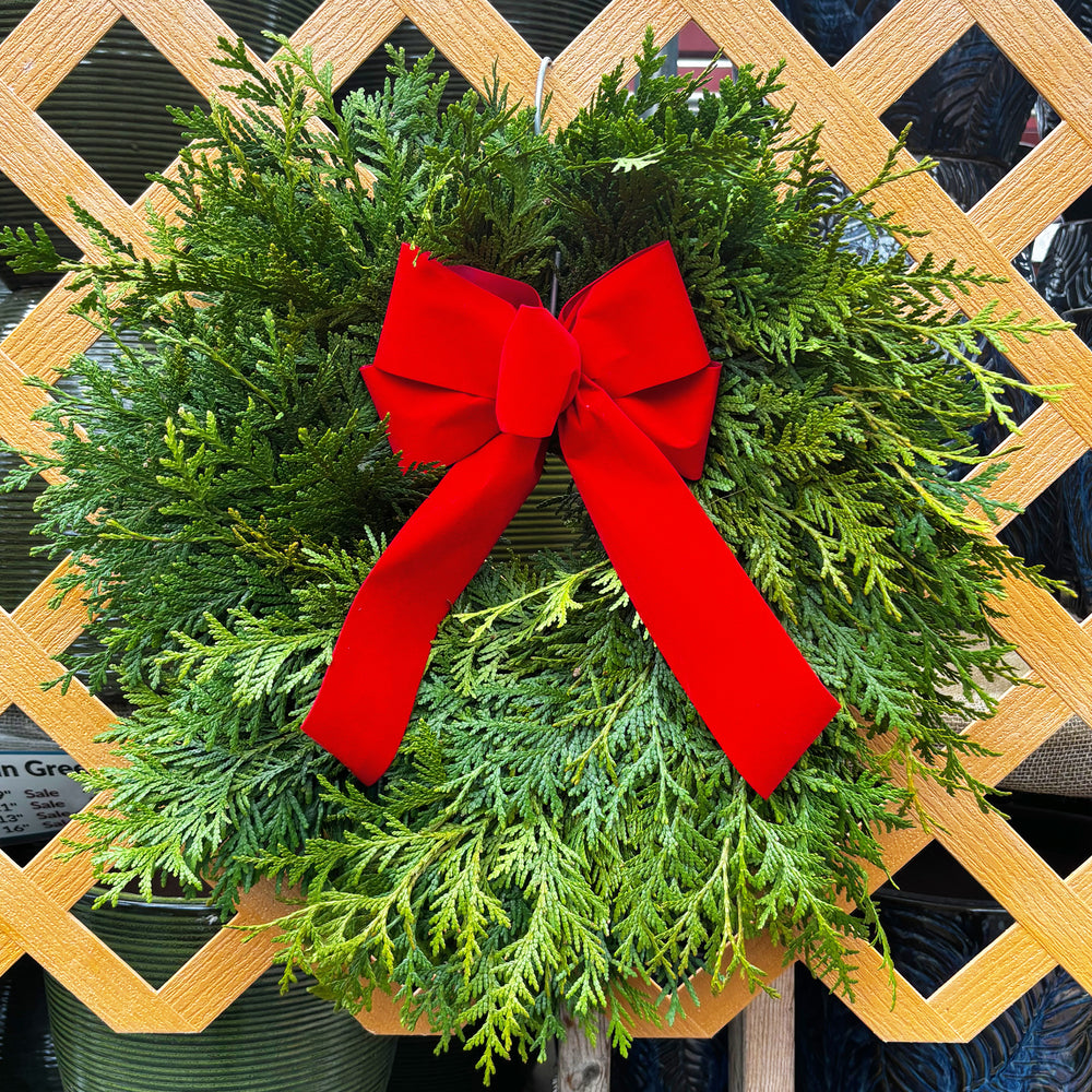 Fresh Evergreen Wreaths