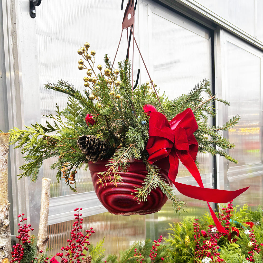 Fresh Evergreen Holiday Hanging Baskets