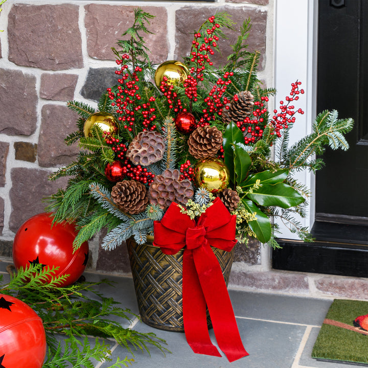 Fresh Evergreen Holiday Magic Planters