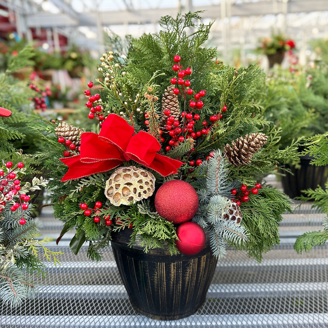 Fresh Evergreen Holiday Magic Planters