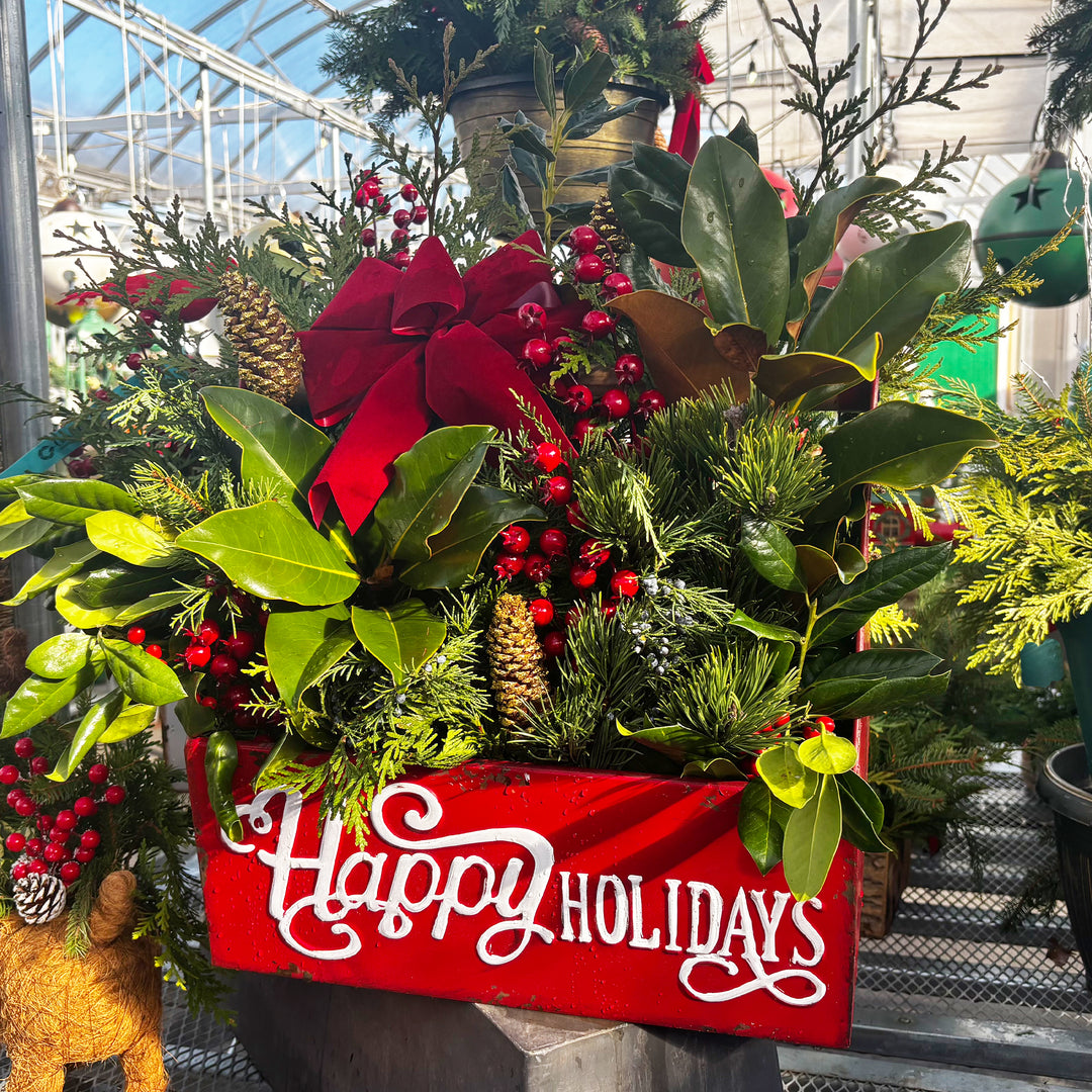 Fresh Evergreen Holiday Magic Planters