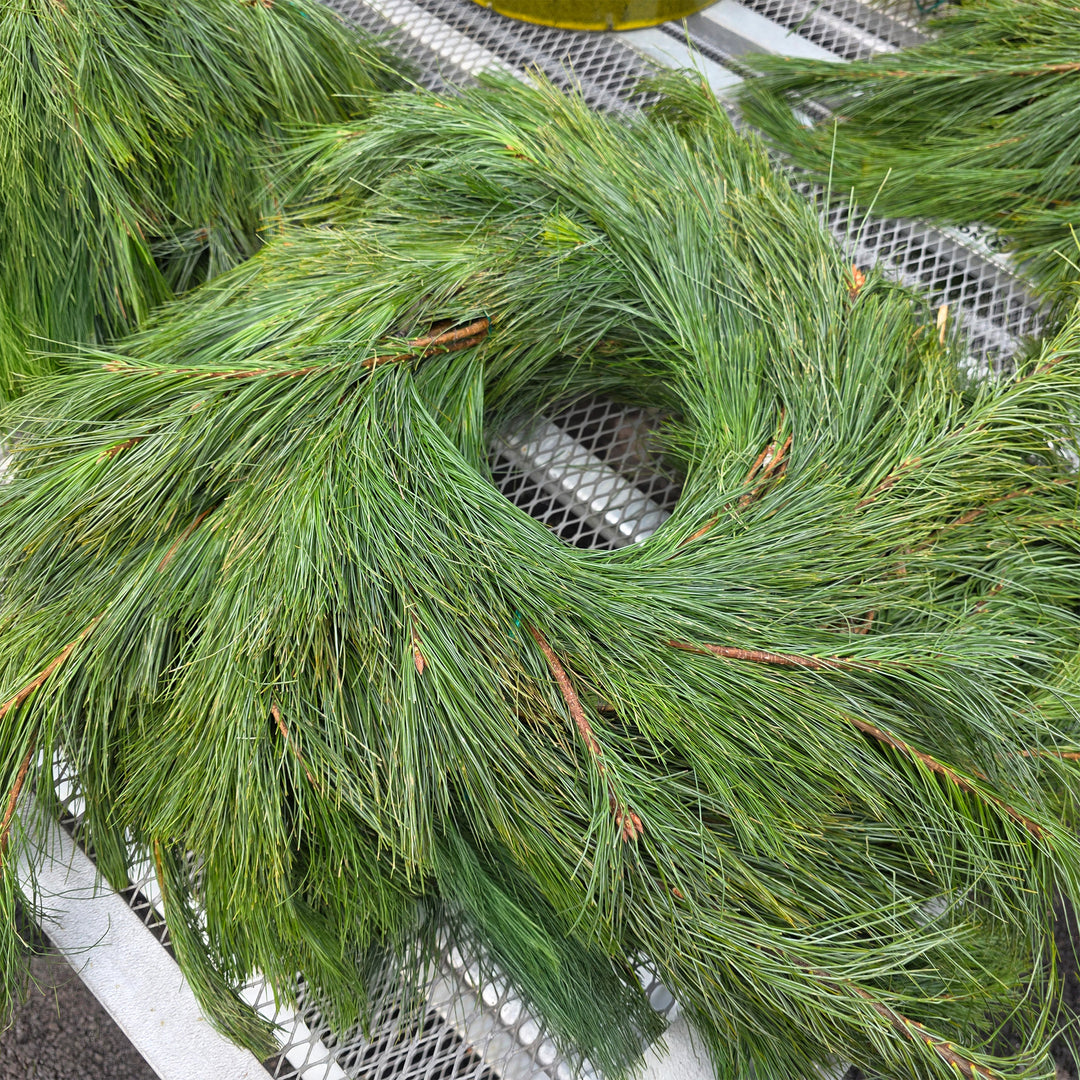 Fresh Cut White Pine Rope Garland